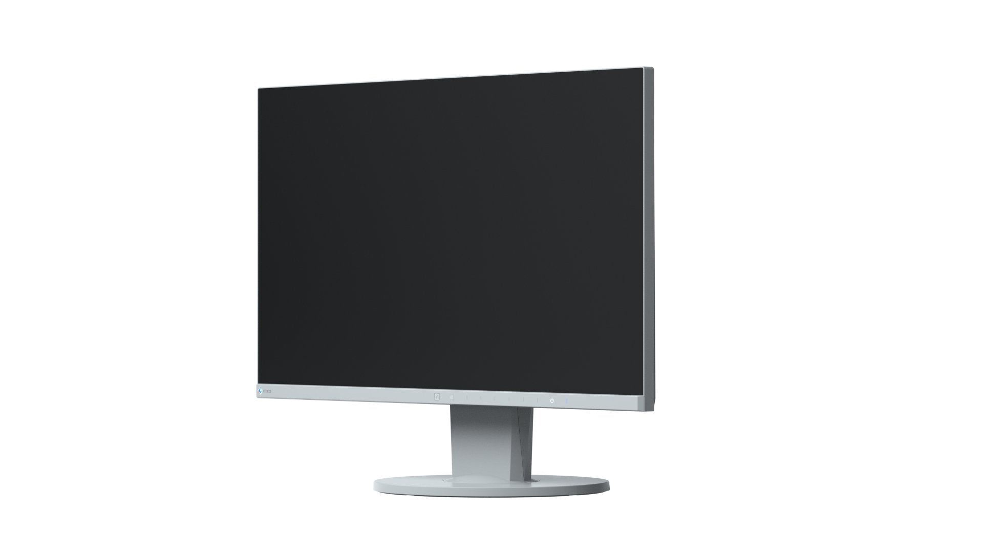 EIZO EV2450-GY 24-Inch LCD/LED Monitor - Grey